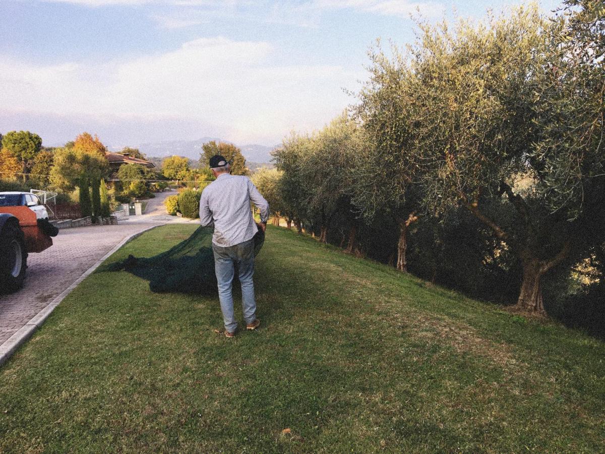 Agriturismo Ca' Cristane Rivoli Veronese Dış mekan fotoğraf