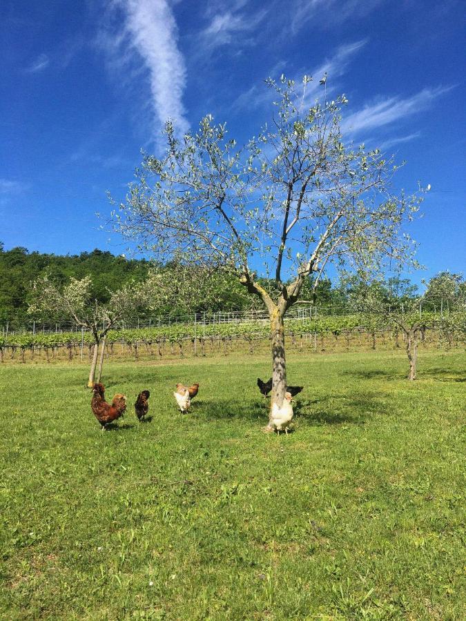 Agriturismo Ca' Cristane Rivoli Veronese Dış mekan fotoğraf