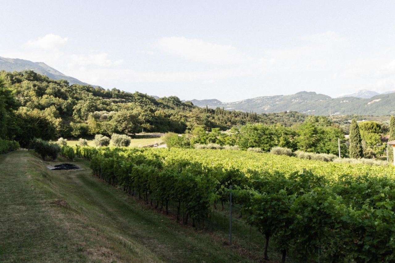 Agriturismo Ca' Cristane Rivoli Veronese Dış mekan fotoğraf