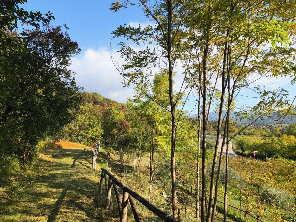 Agriturismo Ca' Cristane Rivoli Veronese Dış mekan fotoğraf