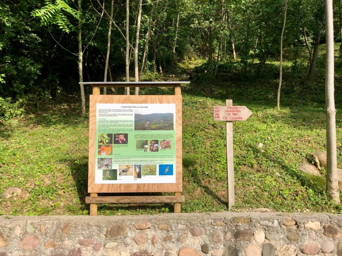 Agriturismo Ca' Cristane Rivoli Veronese Dış mekan fotoğraf