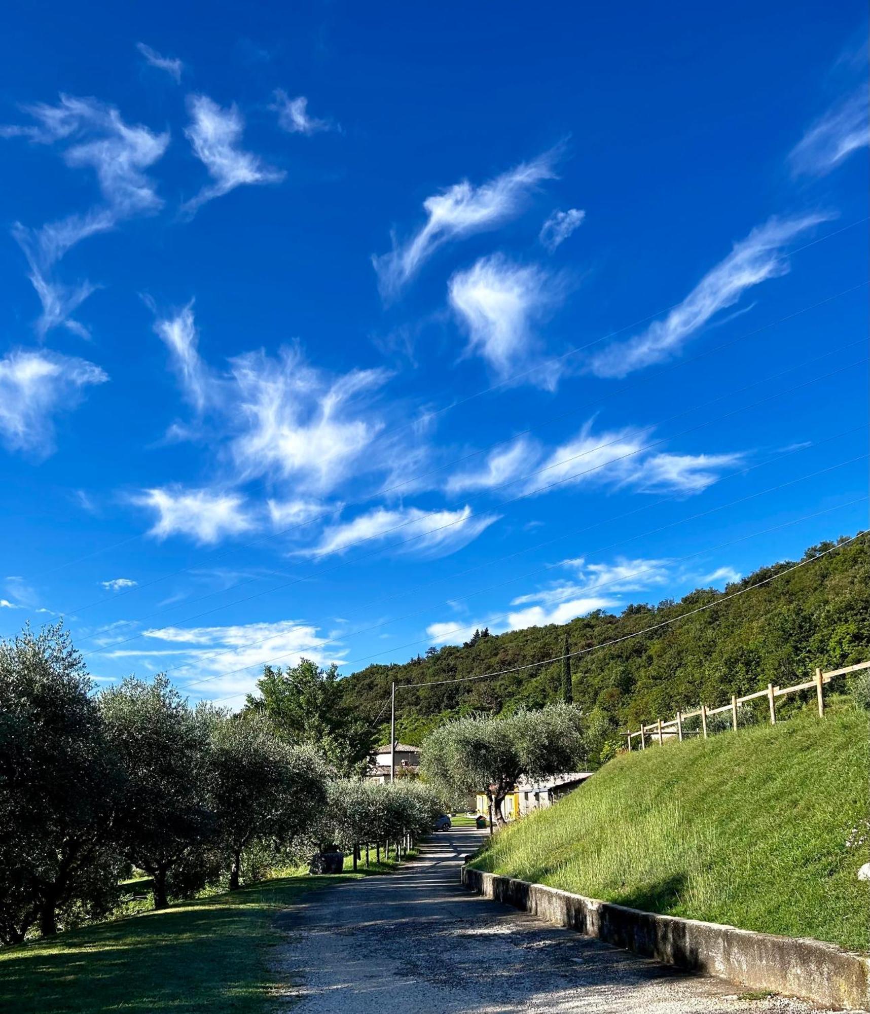 Agriturismo Ca' Cristane Rivoli Veronese Dış mekan fotoğraf
