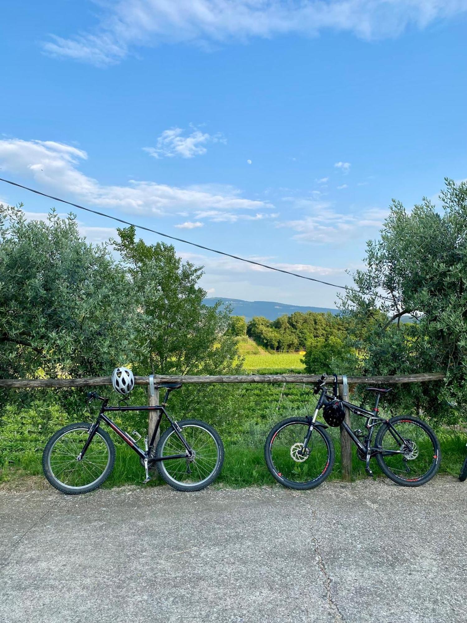 Agriturismo Ca' Cristane Rivoli Veronese Dış mekan fotoğraf