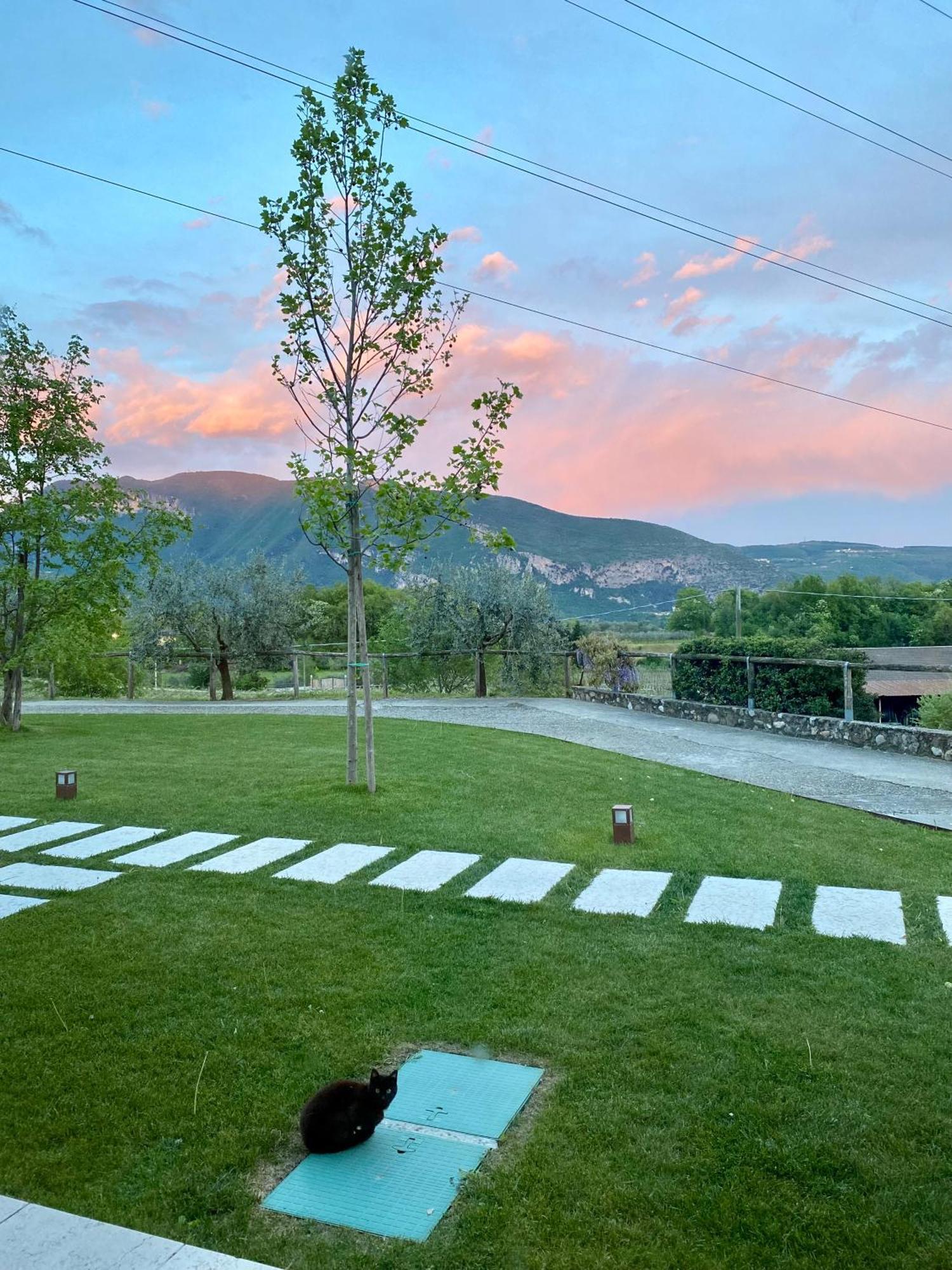 Agriturismo Ca' Cristane Rivoli Veronese Dış mekan fotoğraf