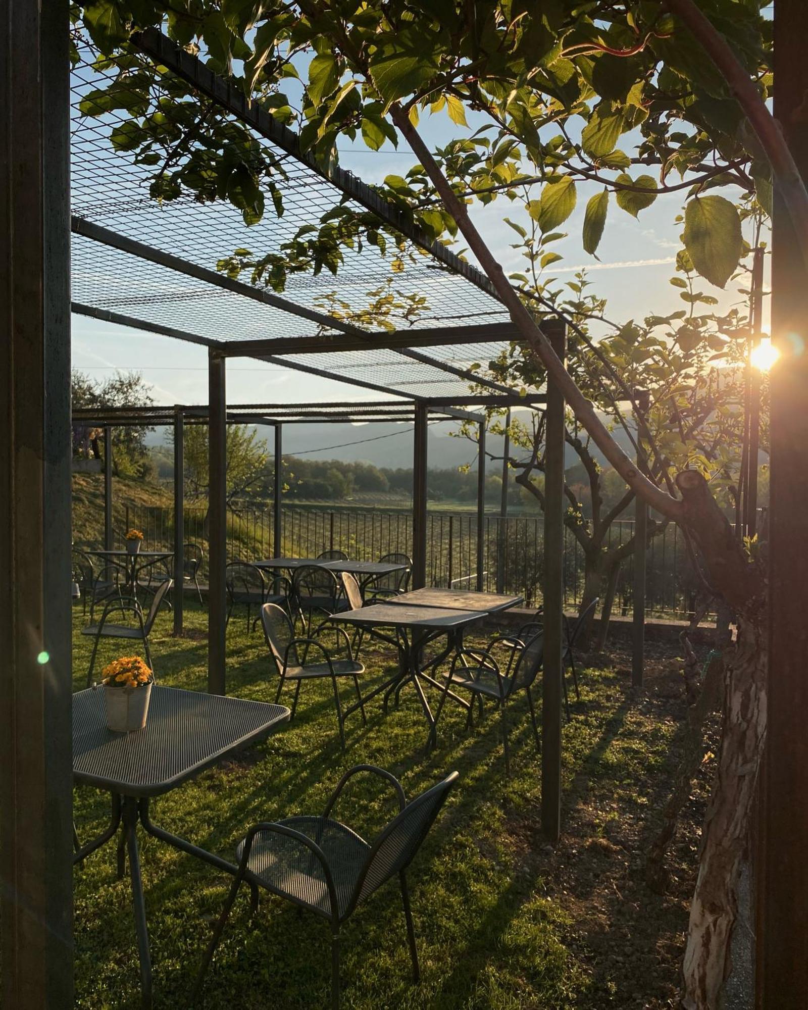 Agriturismo Ca' Cristane Rivoli Veronese Dış mekan fotoğraf